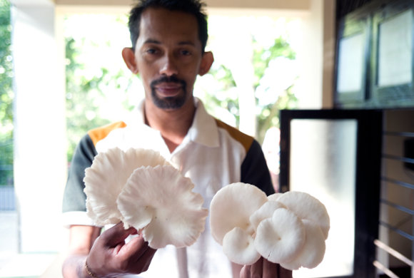 Udadumbara, Central Province. Priyantha Gunasinghe, who runs Dunbara Gedere, with mushrooms that are grown in the community garden.