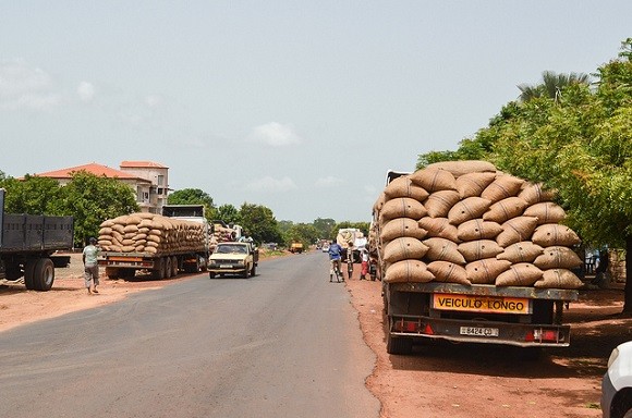 Guinea Bissau is extremely poor and relies heavily on harvesting cashew nuts and other crops. Image credit: jbdodane.