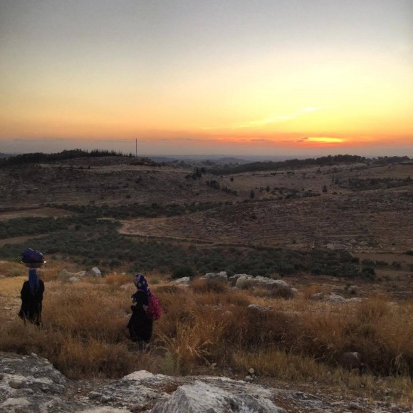 Iltizam Her Story #24: Photo taken by Iltizam (it's from her village Budrus, in the West Bank) 